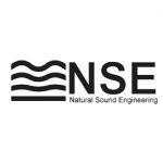 NSE"